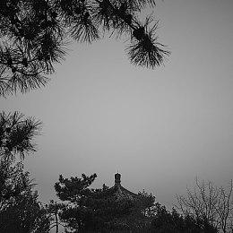 《完蛋！我被美女包围了！》新春微信红包封面限量免费领取